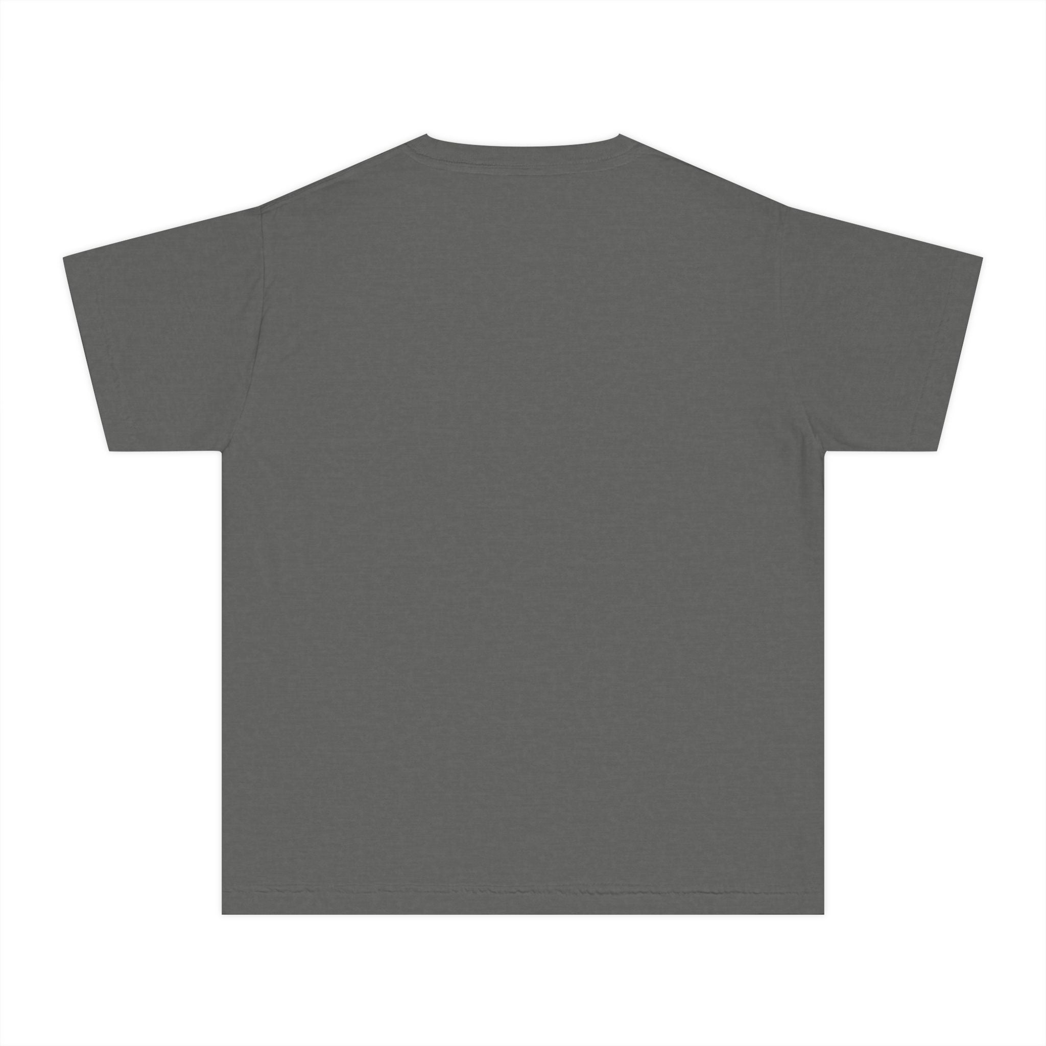 Youth Turtle Eating Apple Sauce T‑Shirt