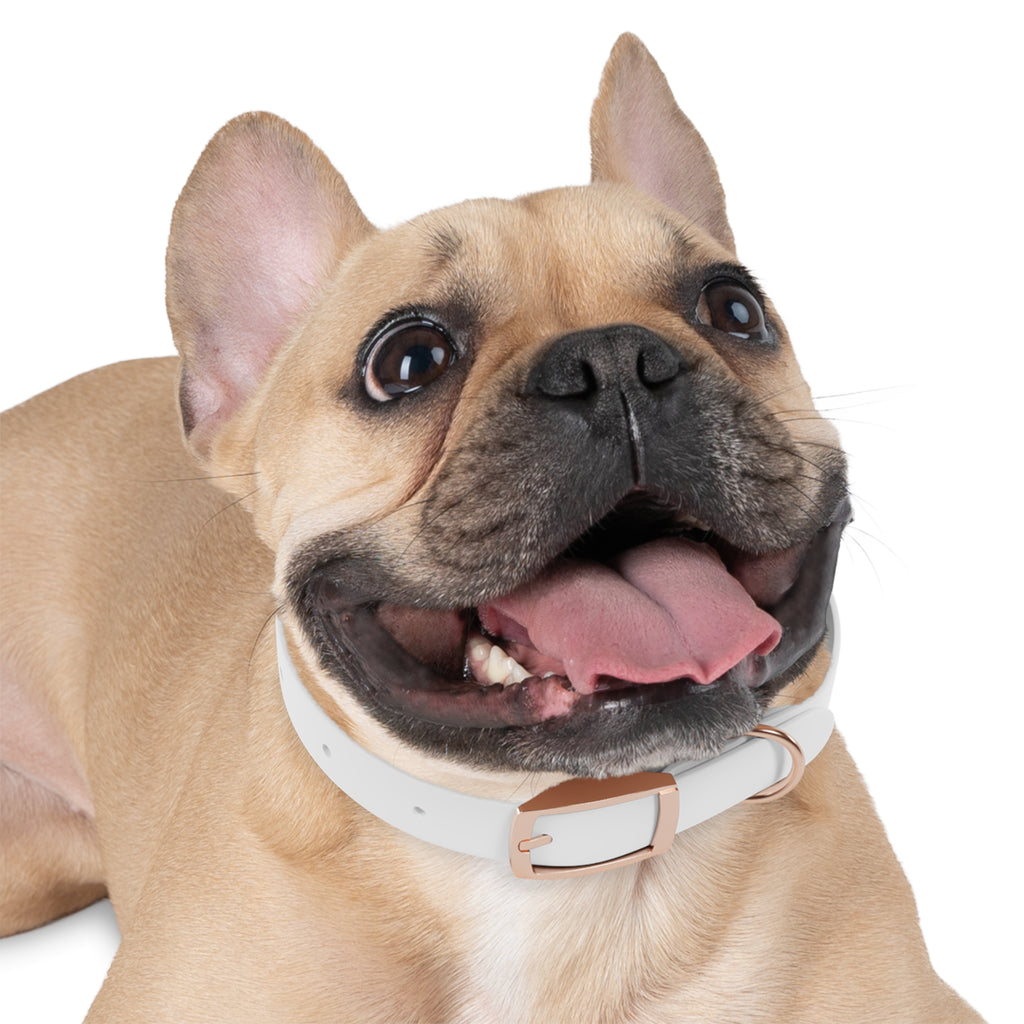 Happy Dog Collar — Durable Pet Collar for Small & Medium Dogs