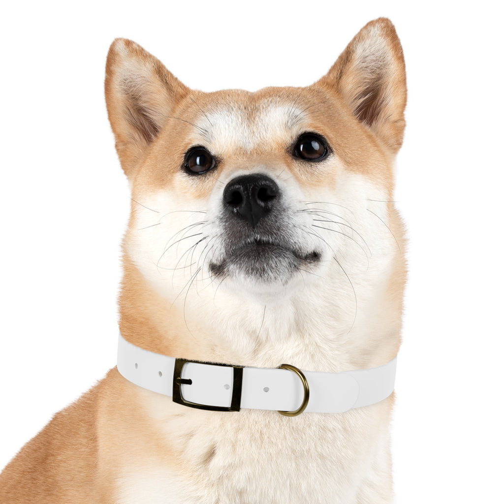 Happy Dog Collar — Durable Pet Collar for Small & Medium Dogs
