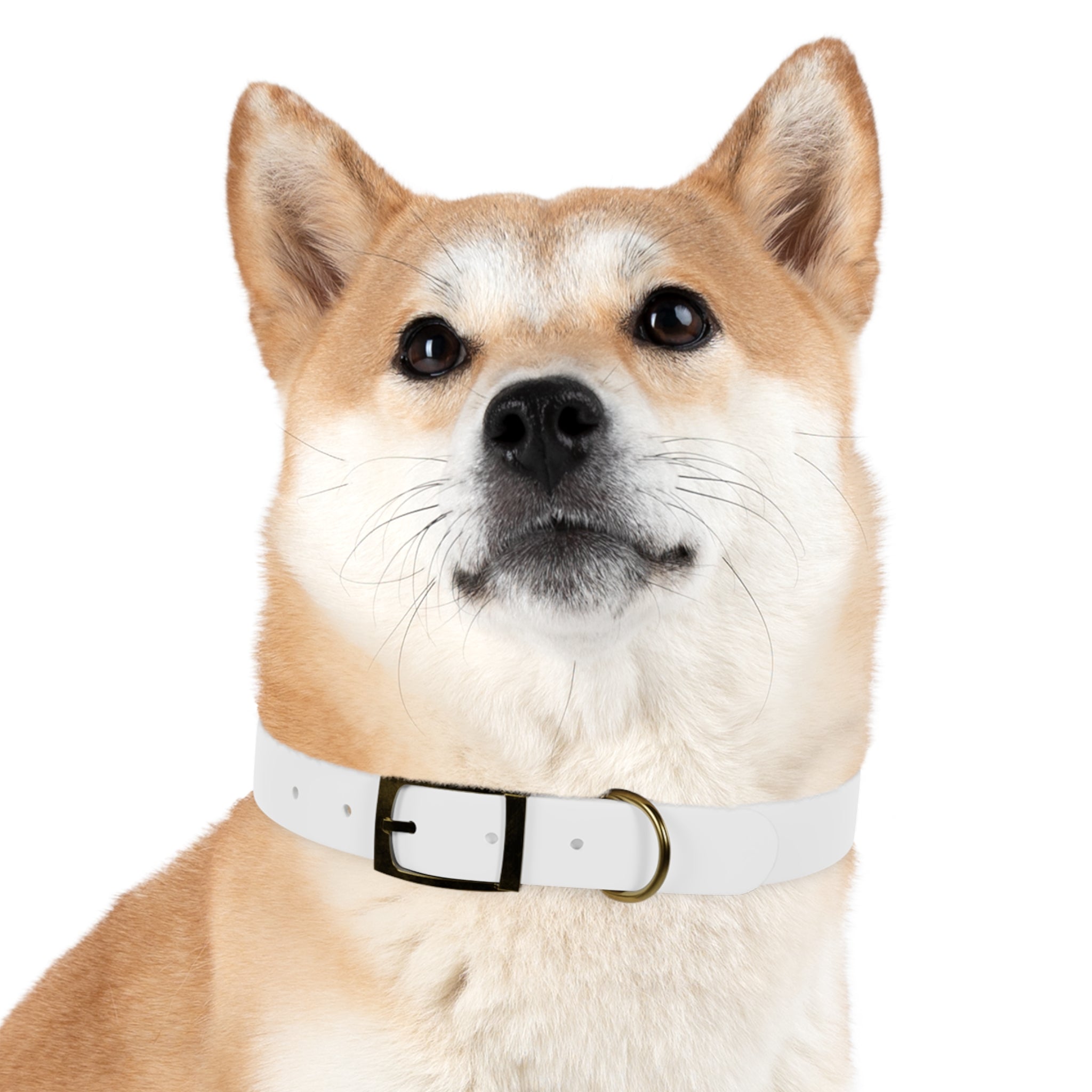 Happy Dog Collar — Durable Pet Collar for Small & Medium Dogs